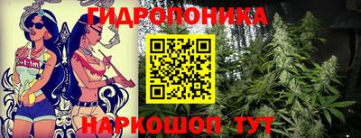 гашик Чебоксары