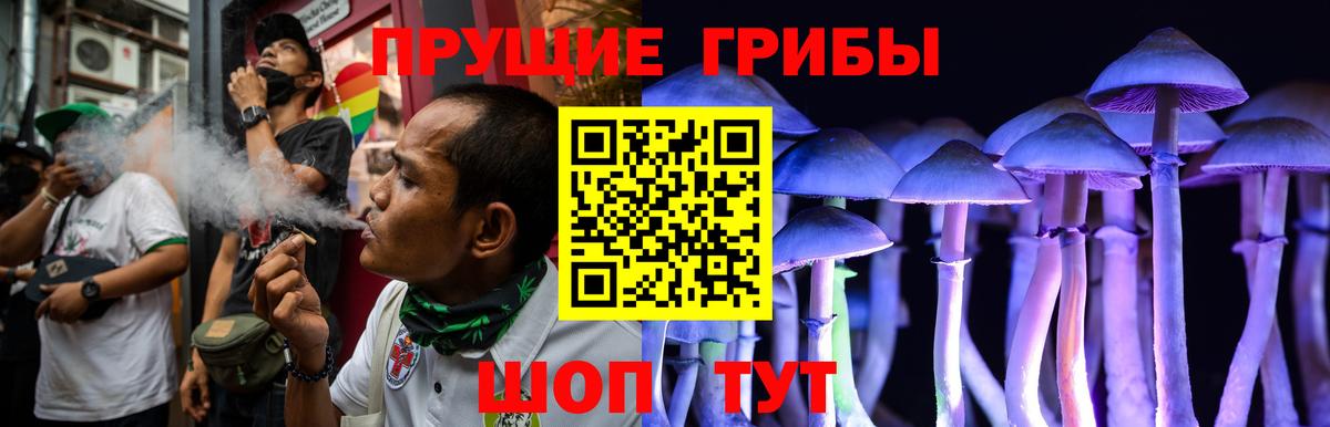 Майкоп  Псилоцибиновые грибы MAGIC MUSHROOMS  Вход с VPN 